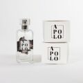 Туалетна вода з феромонами для чоловіків Secret Play - Apolo Perfume Spray 50 ml, 37116