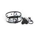 Ошейник с поводком DS Fetish Collar with leash transparent