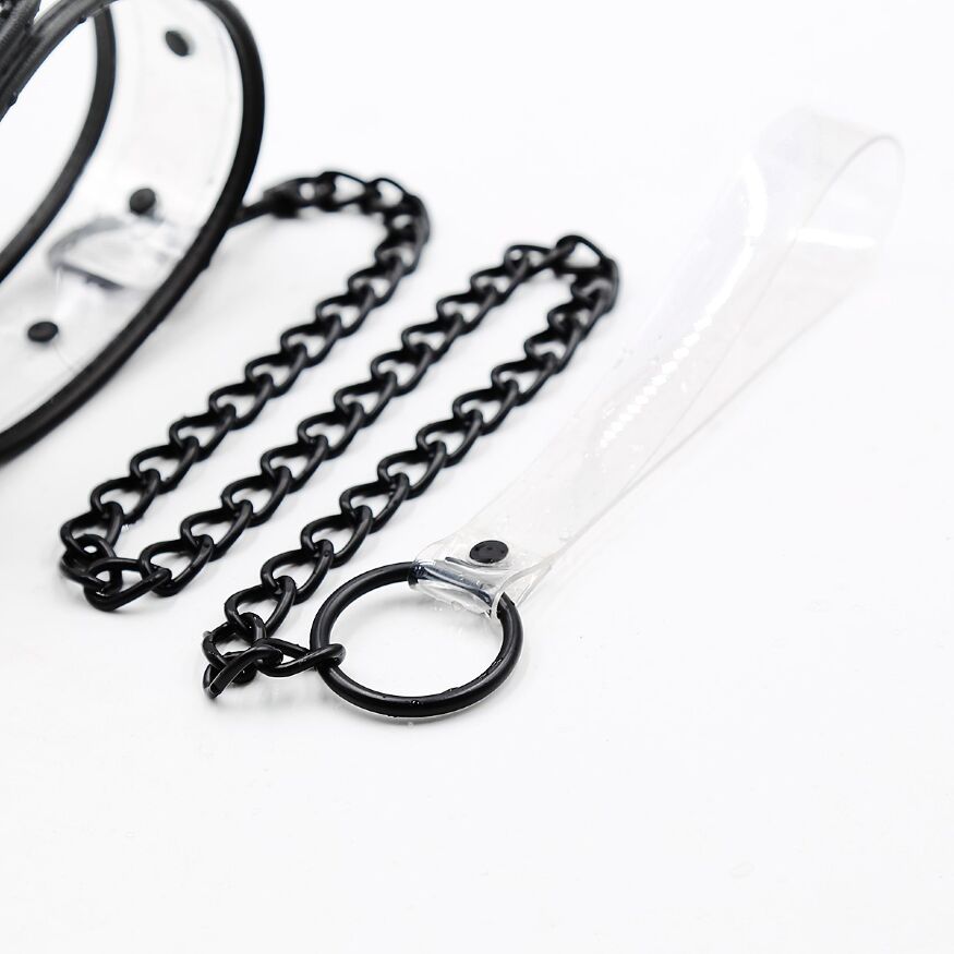 Ошейник с поводком DS Fetish Collar with leash transparent