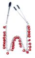 Зажимы для сосков Fetish Boss Series - №5 Exclusive Nipple Clamps, BS6100013