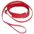 Ошейник с поводком DS Fetish Collar with leash red