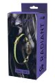 Кляп з кулькою Dreamtoys RADIANT Ball Gag світиться в темряві, зелений