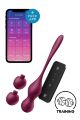 Шарики Кегеля с вибрацией Satisfyer Love Birds Vary и сменными грузами, бордовые