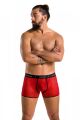 Мужские красные боксерки с рисунком 046 SHORT PARKER red L/XL - Passion