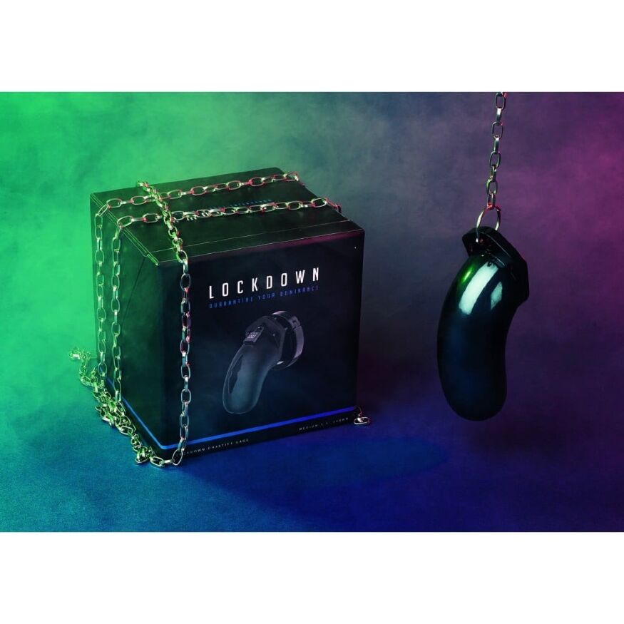 2425 / LOCK002 Пояс верности Lockdown Chastity Cage, M