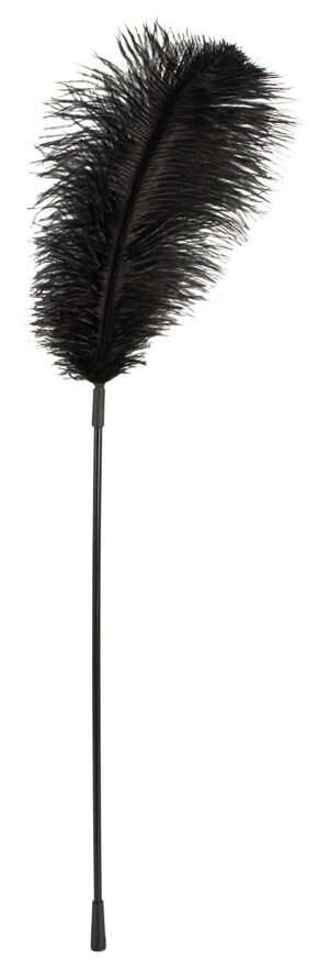 Перо Black feather Bad Kitty