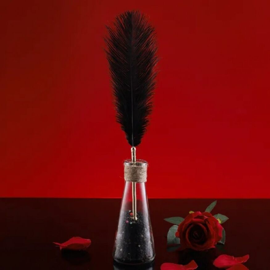 Набір з 2 пір'їнок ,Natural Peacock Flirting Feather Tickler