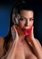 Кляп с декоративной розой Taboom Wild Roses Ball Gag черный-красный