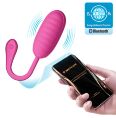 Виброяйцо управляемое смартфоном Pretty Love - Catalina Mobile APP remote control, BI-014654HP