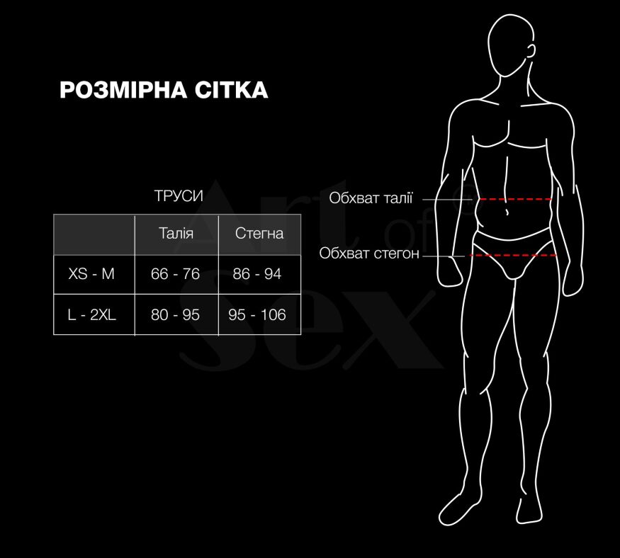 Мужские трусики из сетки Art of Sex - Demir, цвет черный, размер L-2XL