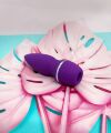 Вакуммный стимулятор клитора с вибрацией Chisa “G” burst Vibrator-Intimate Melody