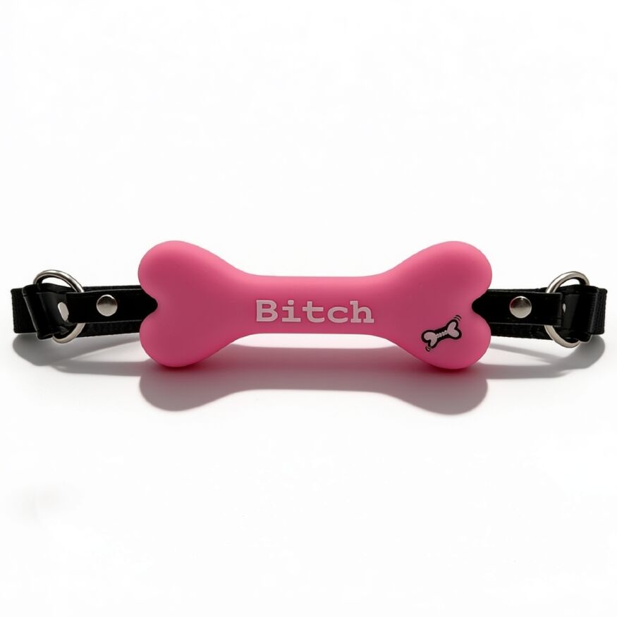 Кляп у вигляді кістки DS Fetish з надписом "Bitch", рожевий