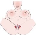 Вагинальный расширитель со стимулятором точки "G" G-spot Labia Spreader