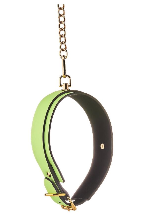 Нашийник з повідцем, що світиться у темряві Dream Toys Radiant Collar &amp; Leash зелений