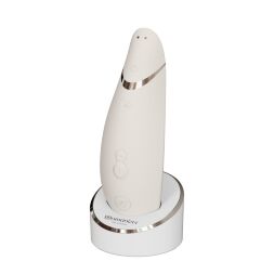 Womanizer Premium 2 Gray