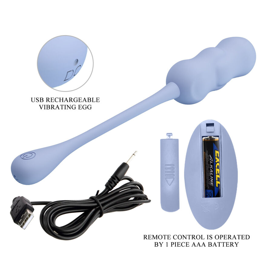 Виброяйцо с дистанционным управлением Pretty Love - Leshy Dream Chaser 4 Blue, BI-014868W-A5