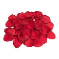 Набір еротичних гаджетів Dream Toys Amour The Hearts of Love, червоний